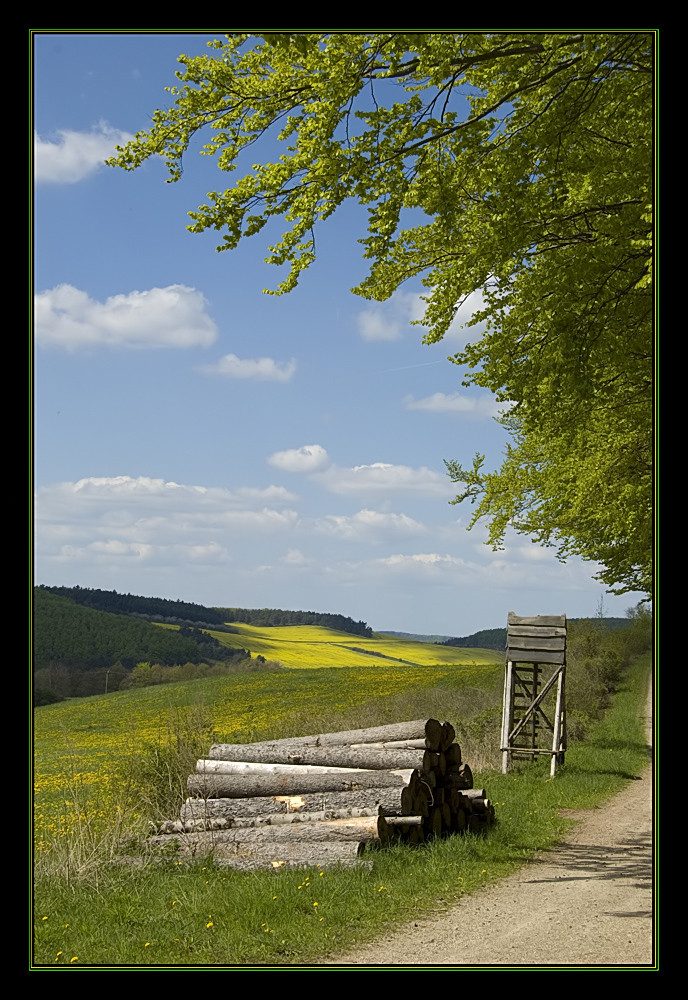 Schönes Eichsfeld - am Waldrand