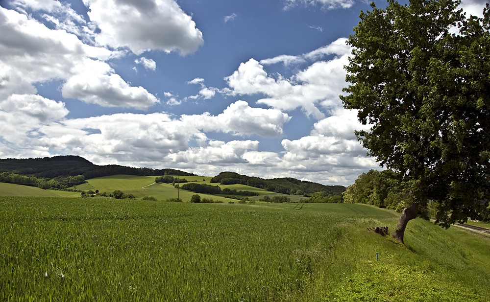 Schönes Eichsfeld - Kälberberg bei Lengenfeld unterm Stein