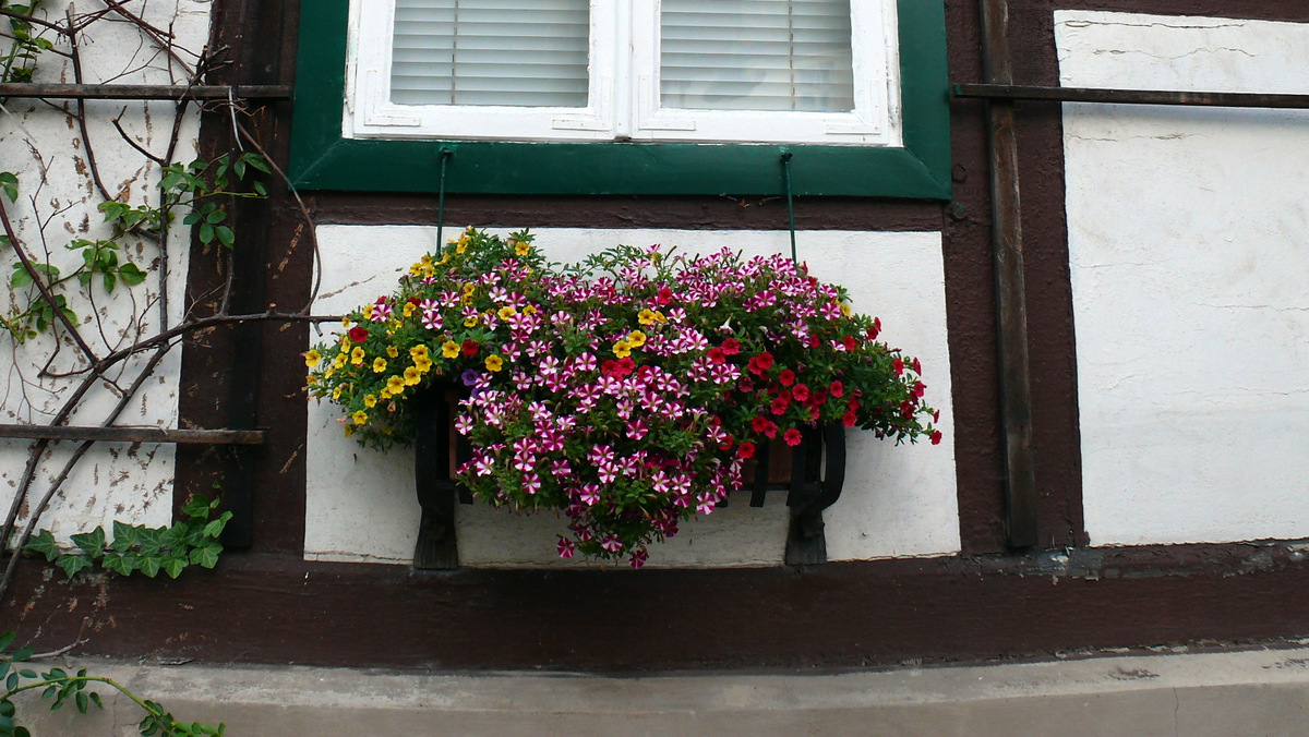 Schönes Fachwerk in Bad Essen