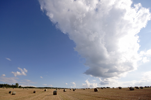 Schönes Feld