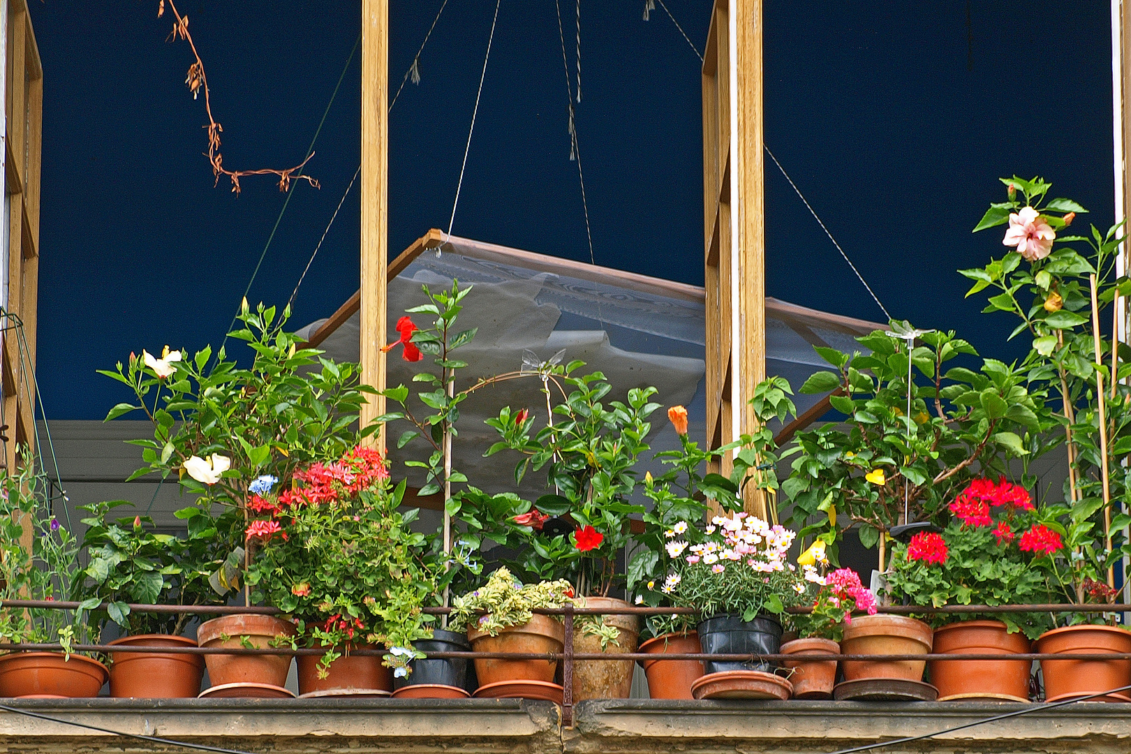 schönes Fenster in Potsdam