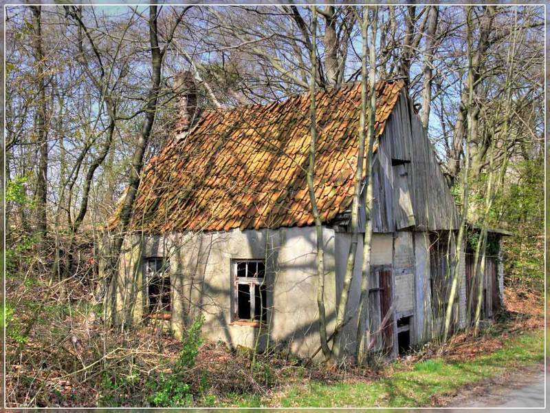 Schönes Ferienhaus