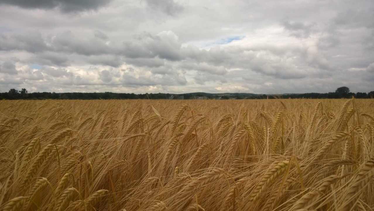 schönes Franken