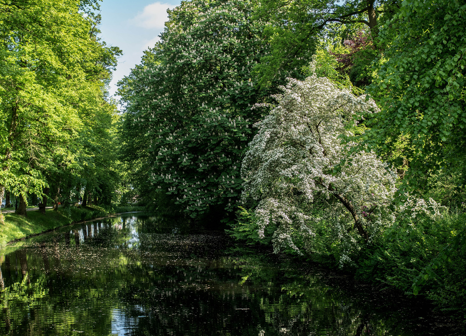 Schönes Friesland.