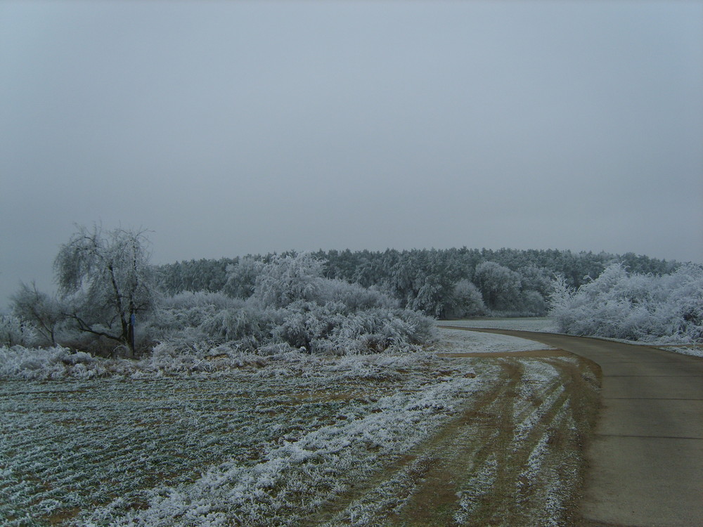 schönes grau