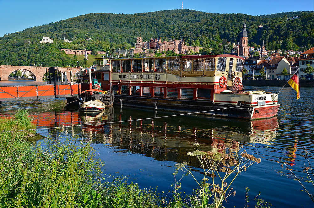 Schönes Heidelberg, aber.....