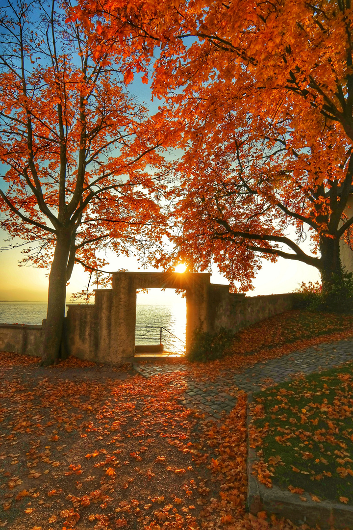 schönes Herbstwetter am Bodensee