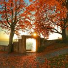 schönes Herbstwetter am Bodensee