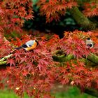 Schönes Herbstwochenende