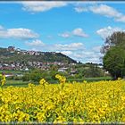 Schönes Hessen: Amöneburg (MR) 1