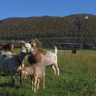 Schönes Hessen: Bad Sooden-Allendorf (Werra) 5