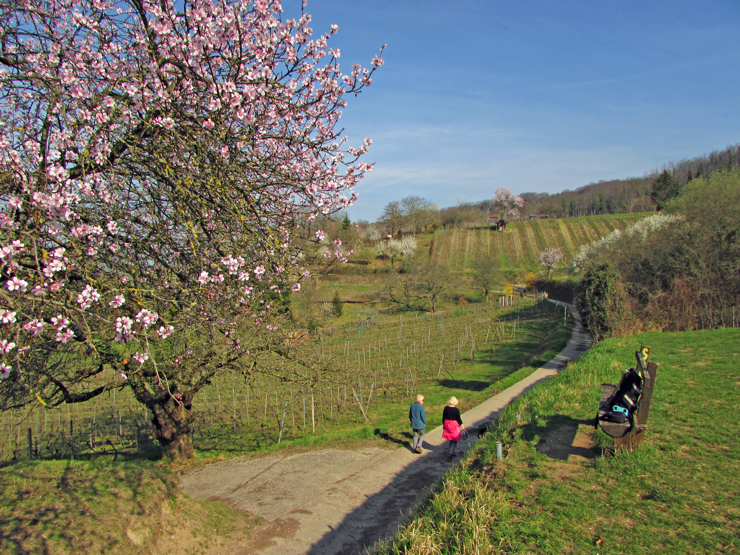 Schönes Hessen: Bensheim (Bergstr.) 4