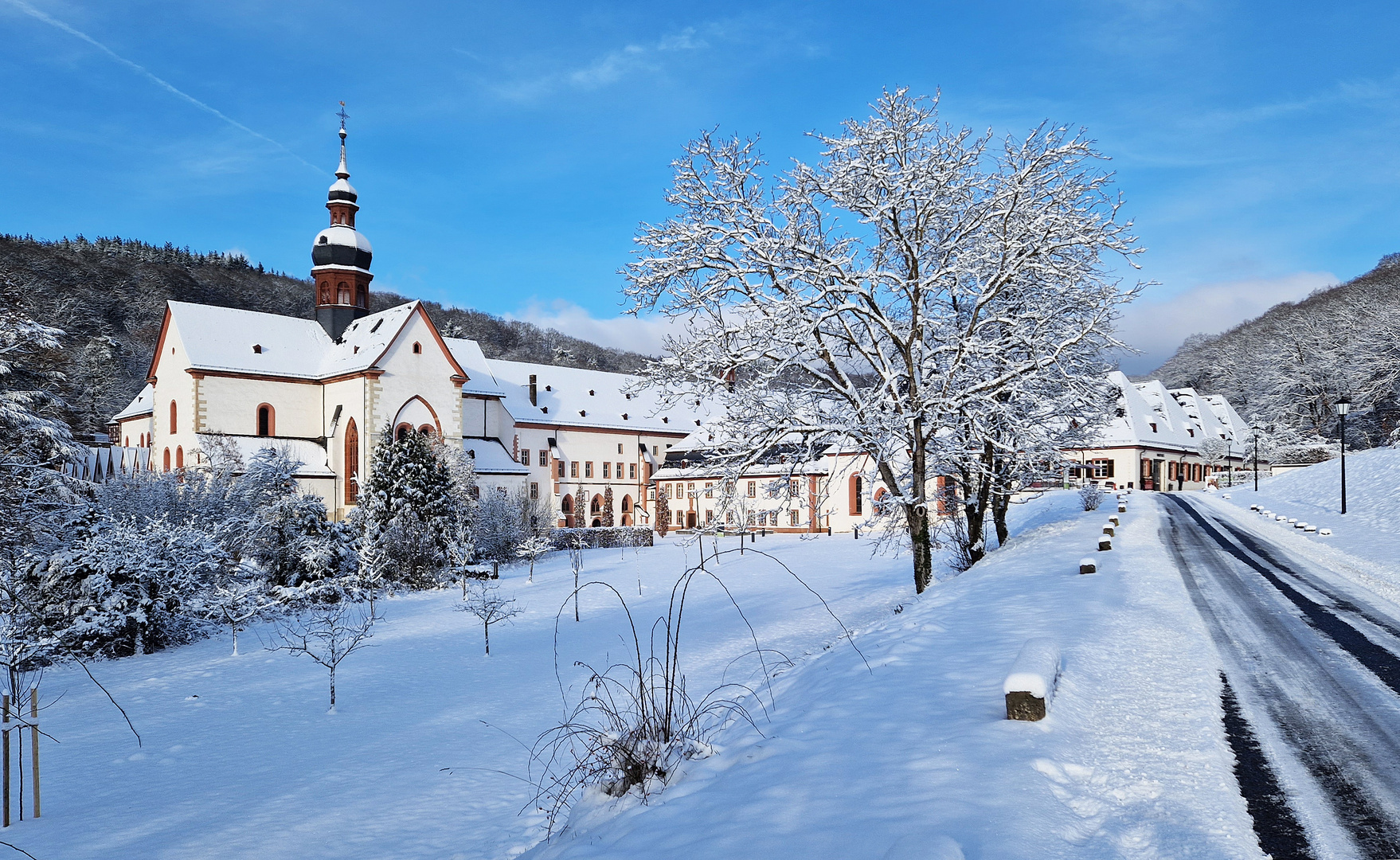 Schönes Hessen: Eltville (Rhein) 5