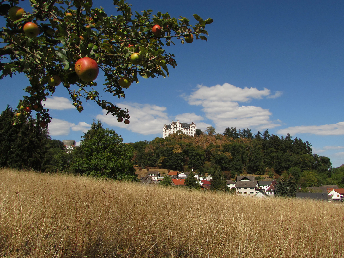 Schönes Hessen: Fischbachtal (Odenwald) 1