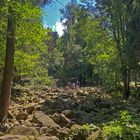 Schönes Hessen: Fischbachtal (Odenwald) 2