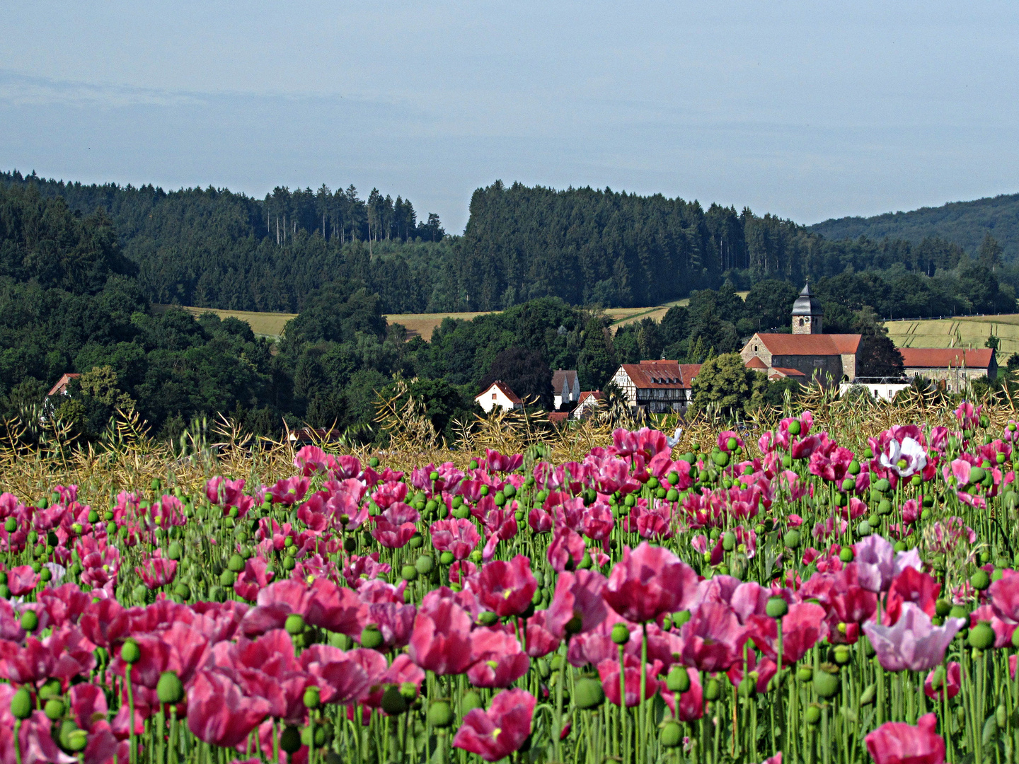 Schönes Hessen: Gemeinde Meißner (ESW) 3