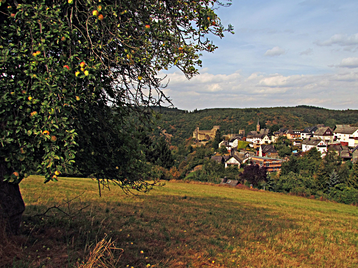 Schönes Hessen: Hohenstein (Taunus) 1