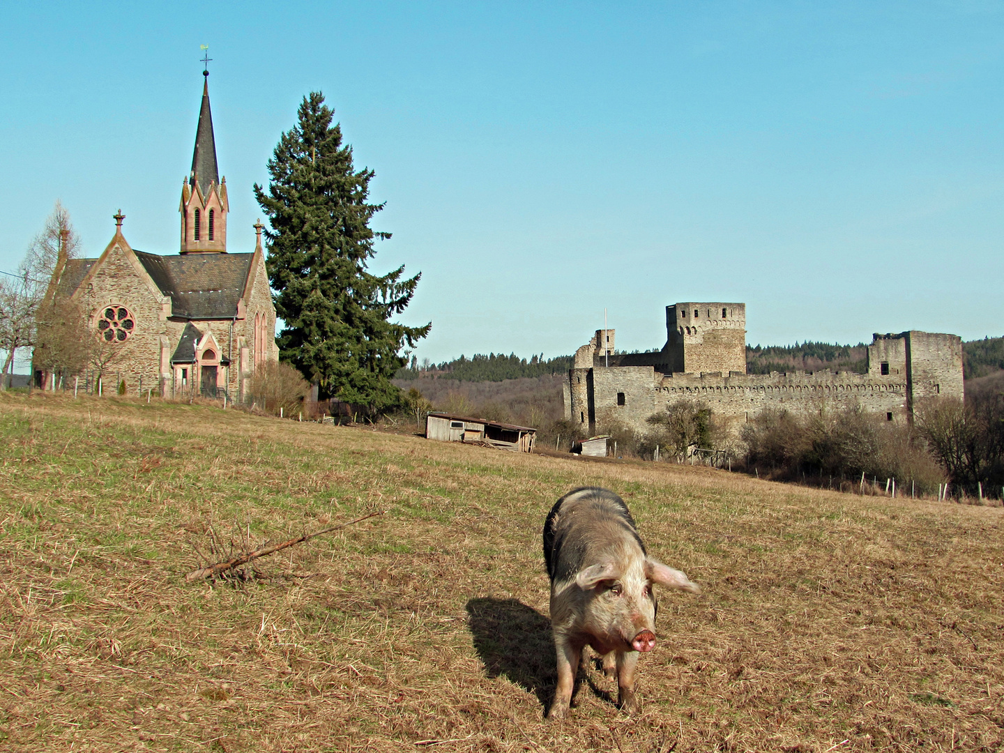 Schönes Hessen: Hohenstein (Taunus) 2