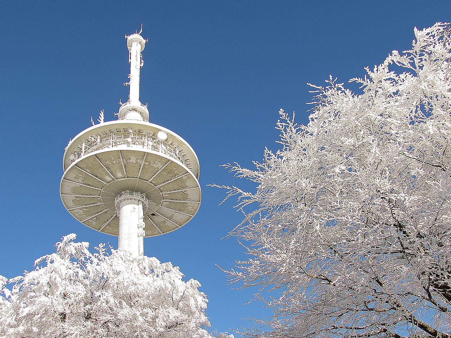 Schönes Hessen: Hoherodskopf  (Vogelsberg) 1