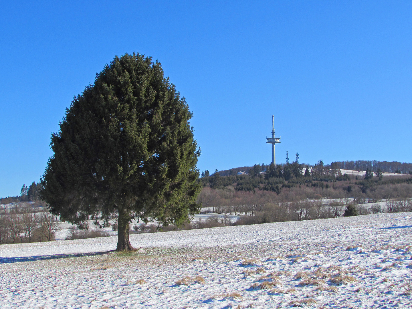 Schönes Hessen: Hoherodskopf (Vogelsberg) 4