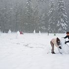 Schönes Hessen: Hoherodskopf (Vogelsberg) 5