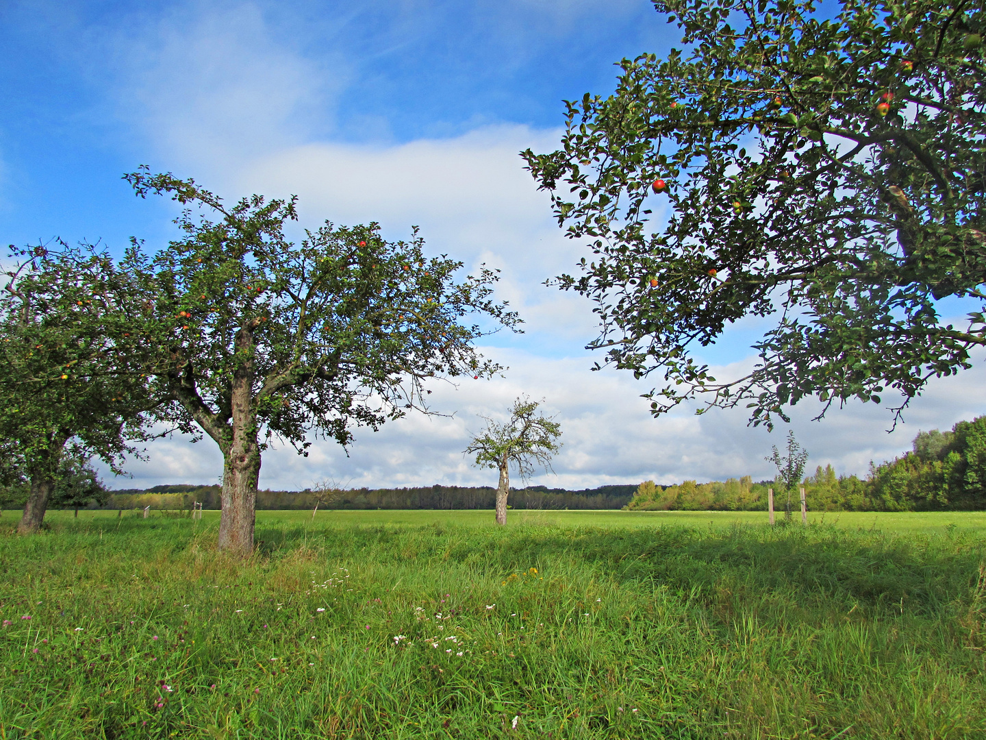 Schönes Hessen: Kühkopf 1