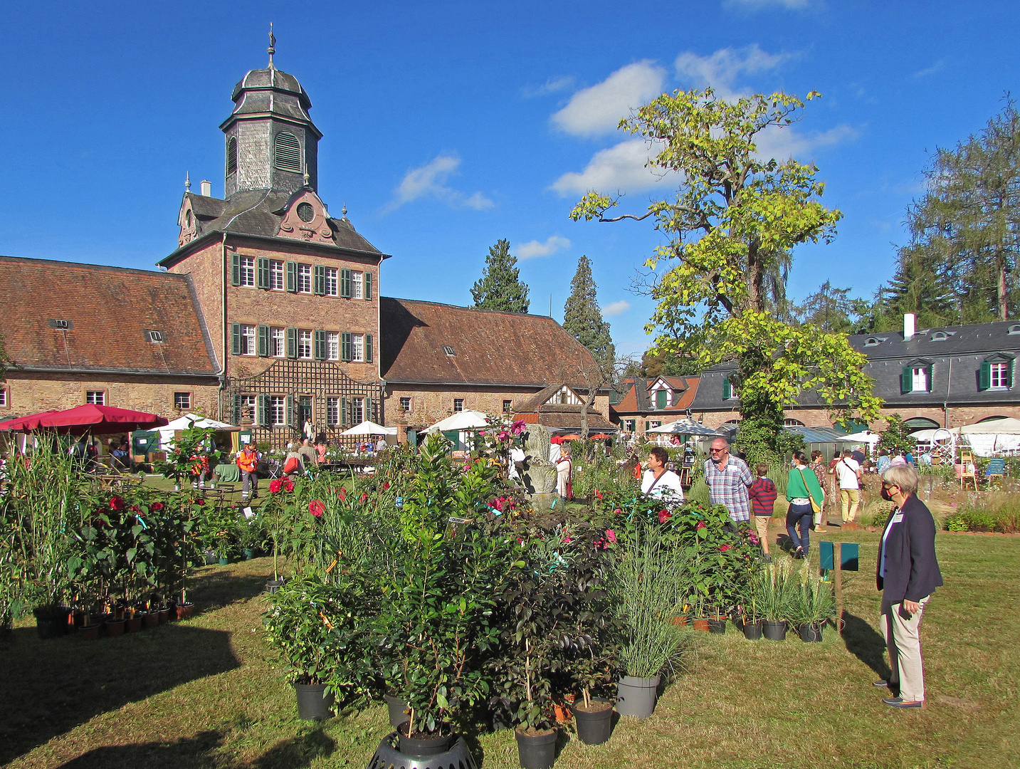 Schönes Hessen: Langen (OF) 1