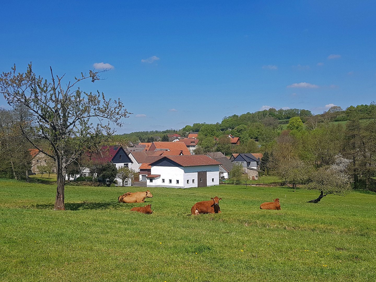 Schönes Hessen: Mücke (Vogelsberg) 2