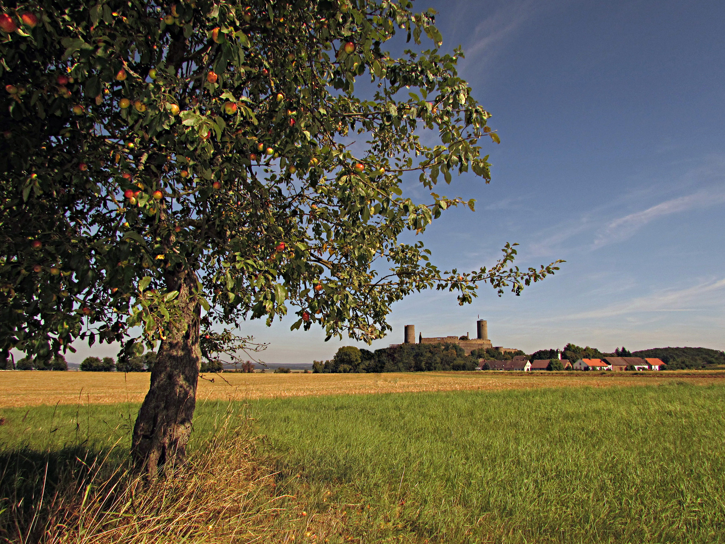 Schönes Hessen: Münzenberg (Wetterau) 2