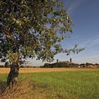 Schönes Hessen: Münzenberg (Wetterau) 2