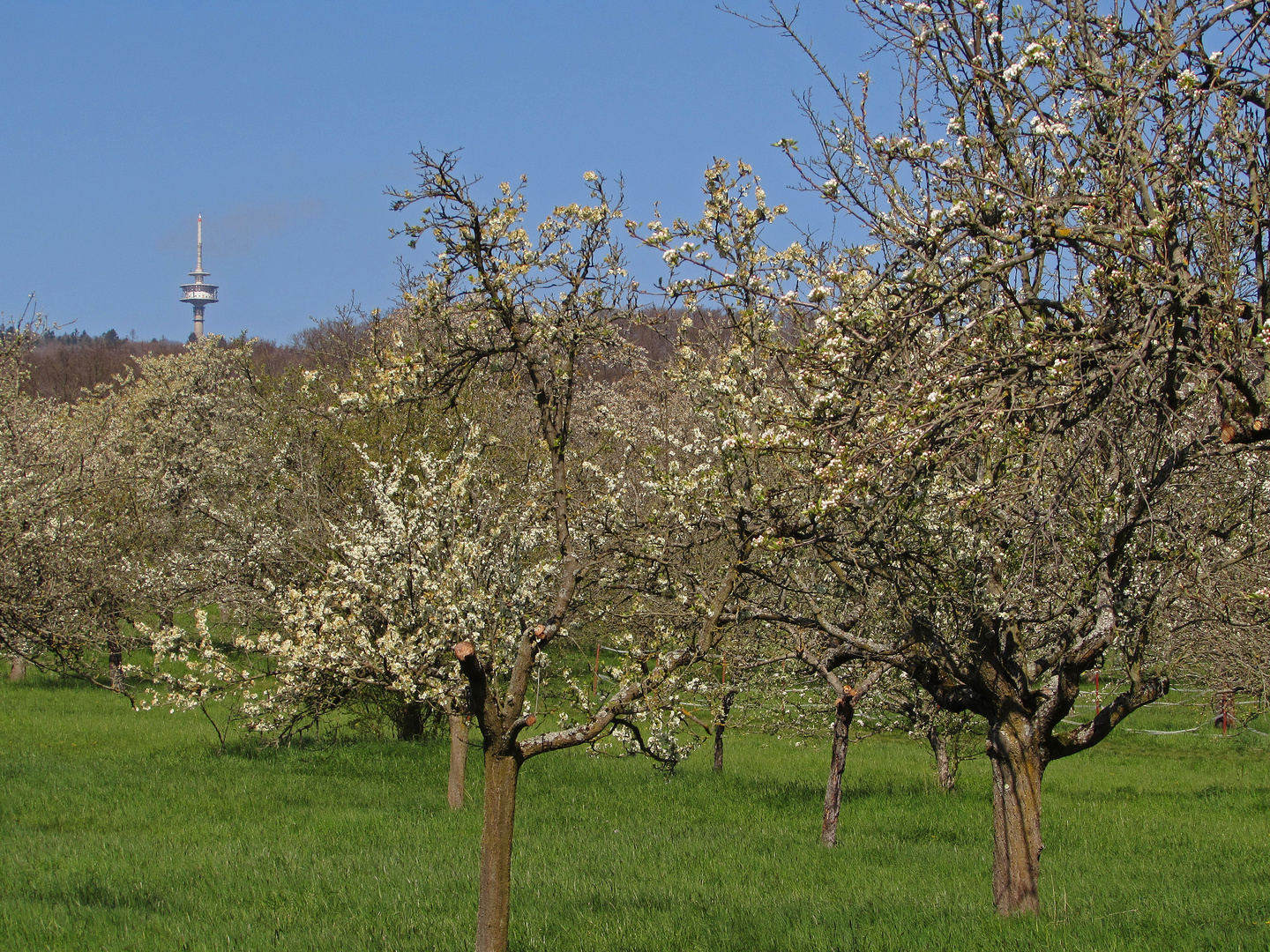 Schönes Hessen: Rosbach vor der Höhe (Wetterau) 1