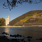 Schönes Hessen: Rüdesheim (Rhein) 2