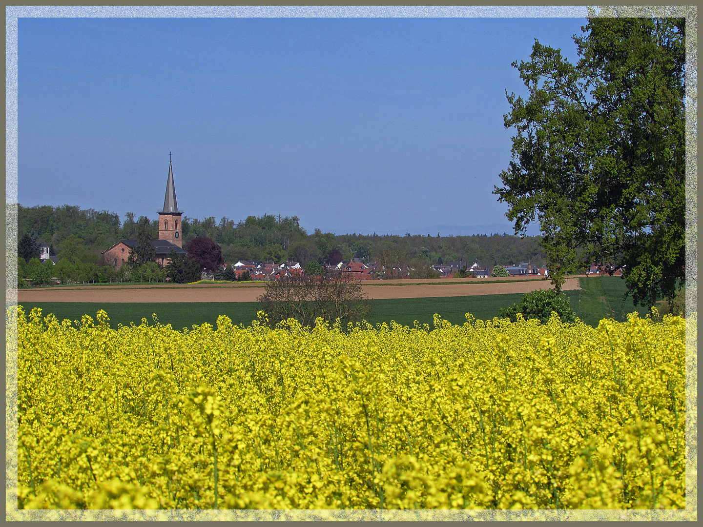 Schönes Hessen: Schaafheim (DA) 3