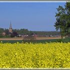 Schönes Hessen: Schaafheim (DA) 3