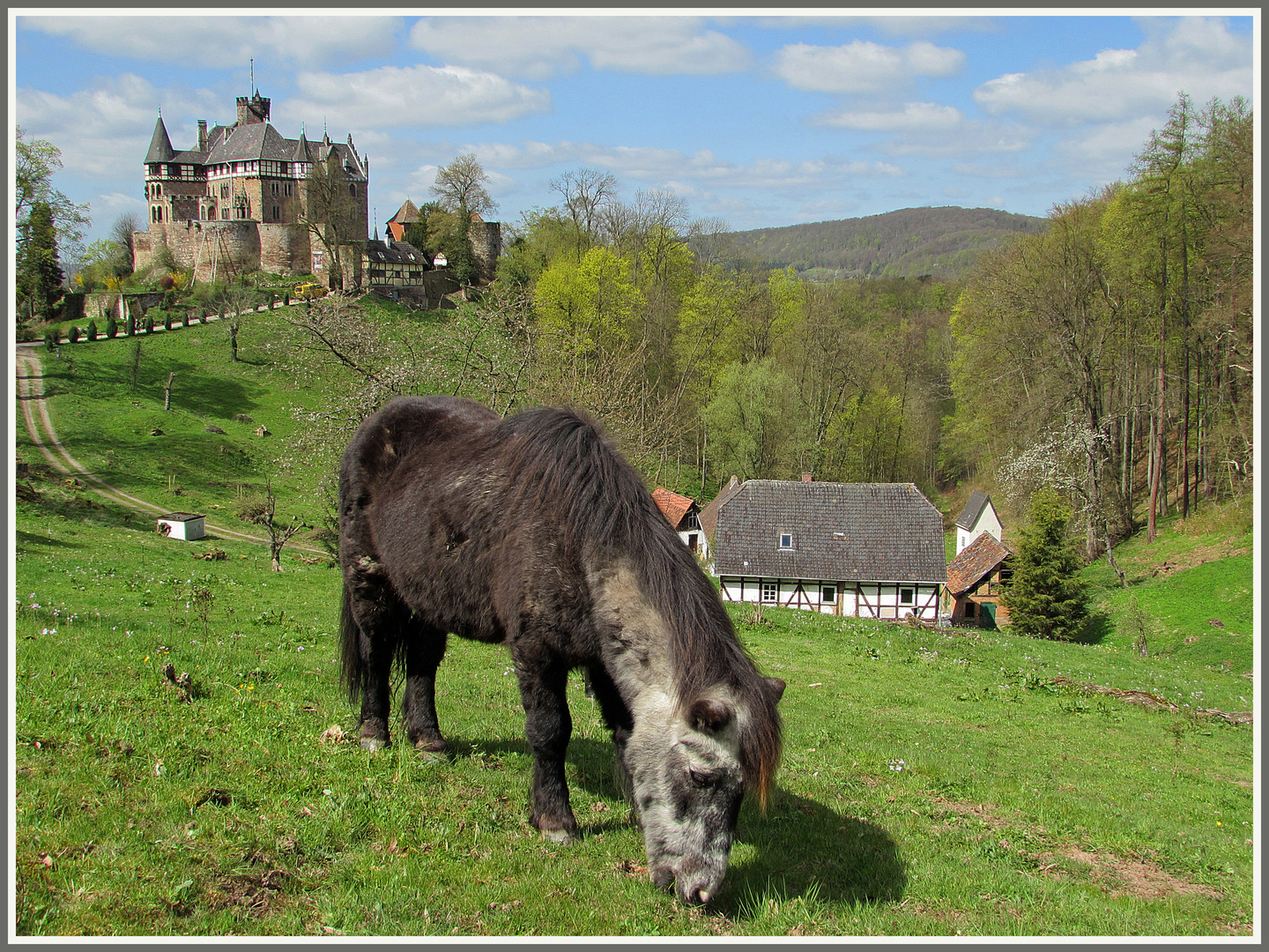 Schönes Hessen: Witzenhausen 2