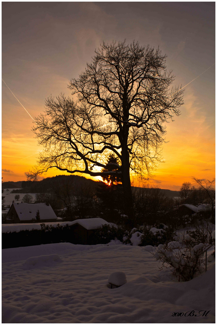 schönes im Winter