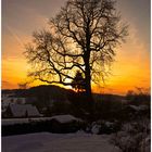 schönes im Winter