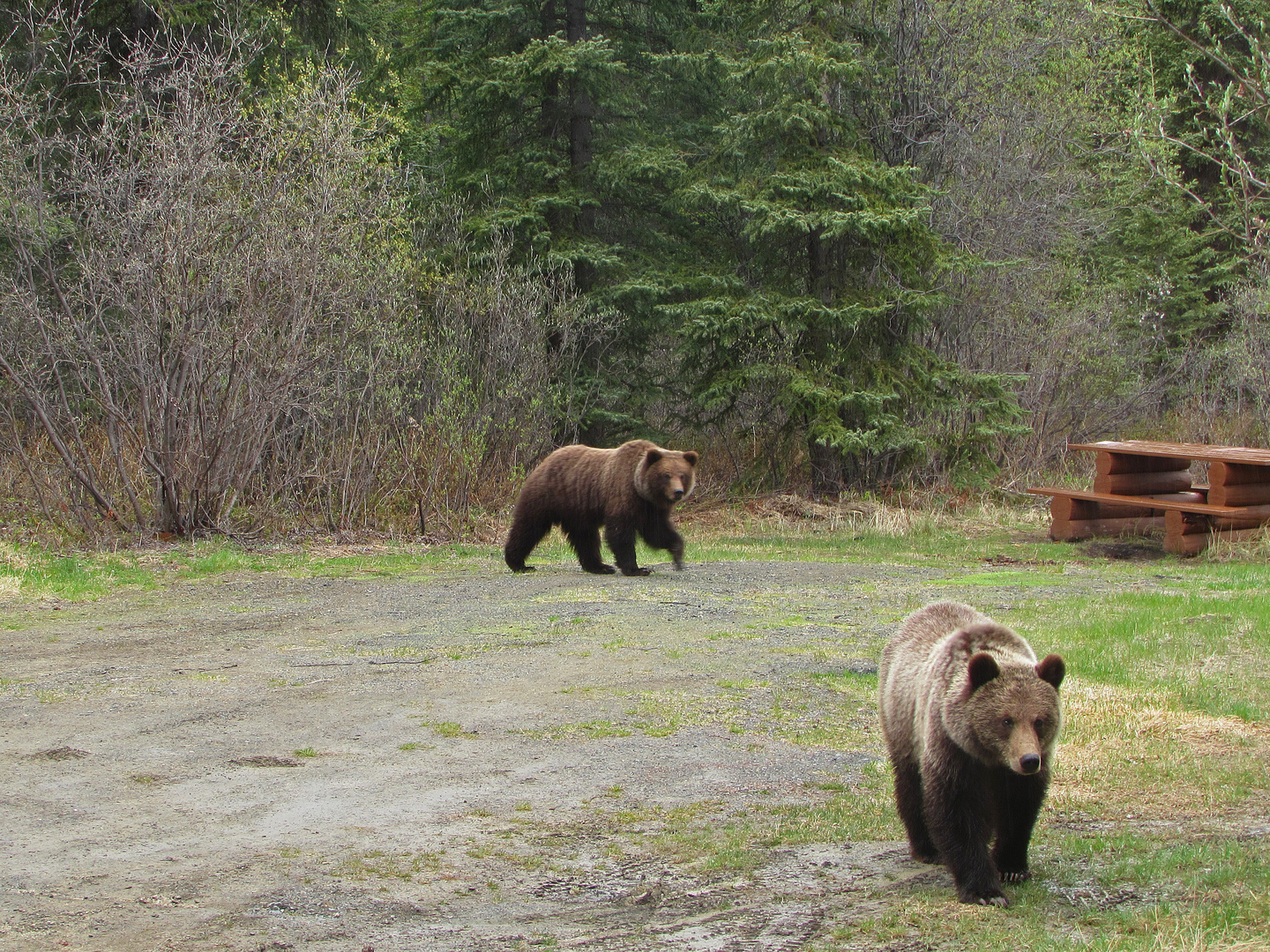 Schönes Kanada: British Columbia 4