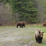 Schönes Kanada: British Columbia 4