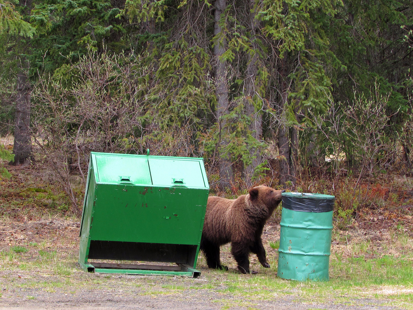 Schönes Kanada: British Columbia 5