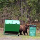 Schönes Kanada: British Columbia 5