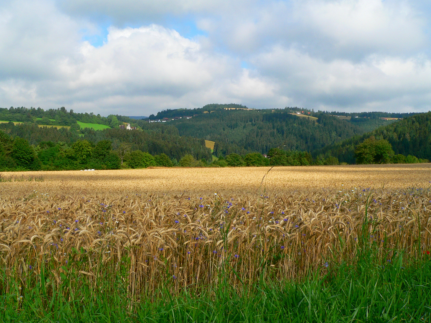 Schönes Land