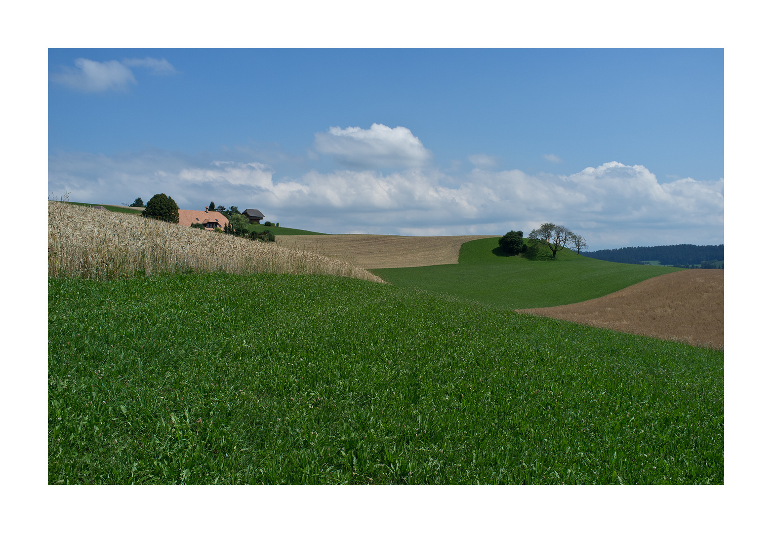 Schönes Land