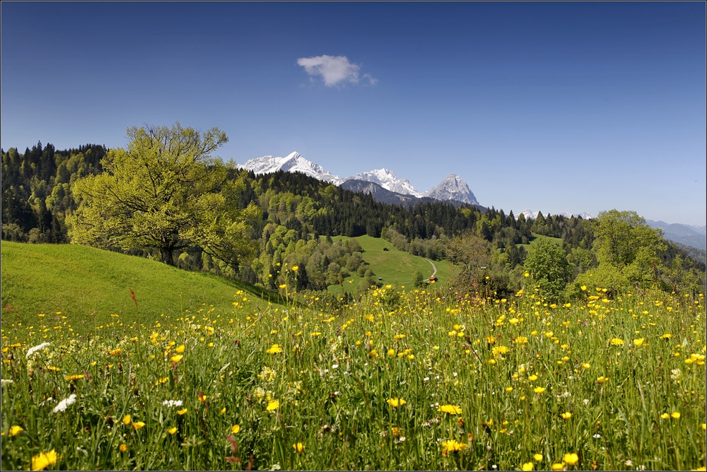 ~ Schönes Land IV ~