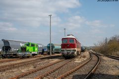 Schönes Licht für beide Schönheiten