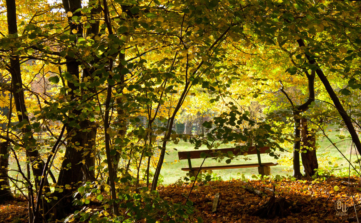 Schönes Licht im Herbst