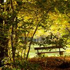 Schönes Licht im Herbst