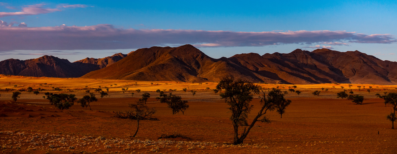 schönes Licht in der Namibwüste