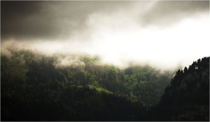 Schönes Licht, Standpunkt Dornbirn