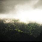 Schönes Licht, Standpunkt Dornbirn